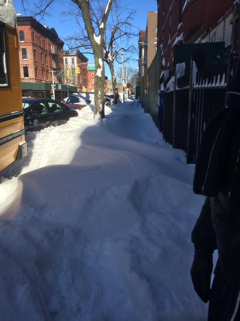Illustration for article titled A Blizzard Grows in Brooklyn